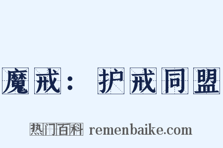 魔戒：护戒同盟是什么意思的图片